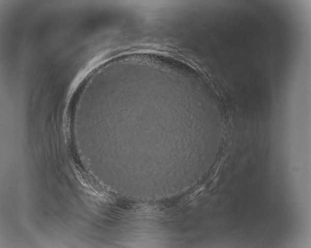 X0000077370343200610201357