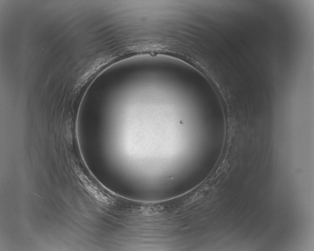 X0000077370345200610201357