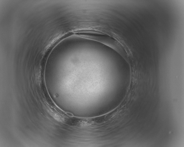 X0000077370346200610201357