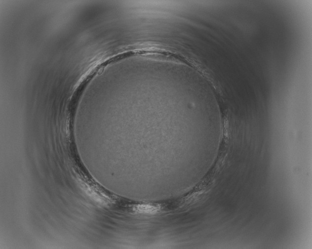 X0000077370347200610201357