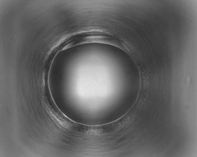 X0000077370350200610201357