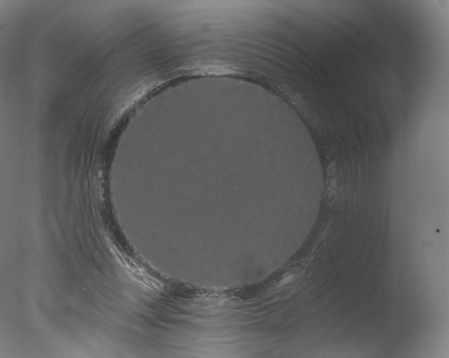 X0000077370351200610201357