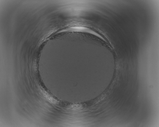 X0000077370353200610201357