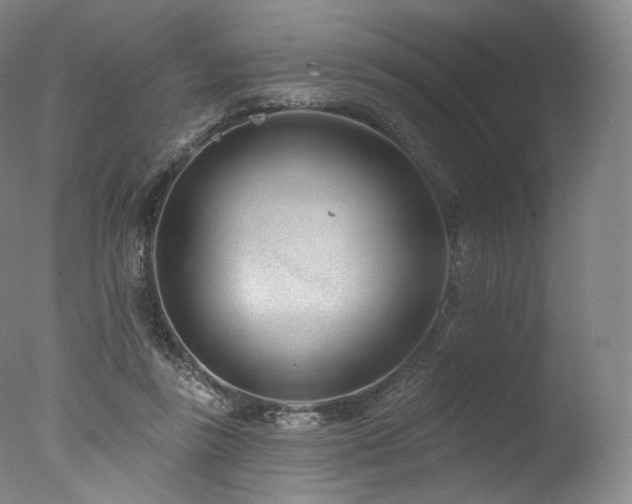 X0000077370355200610201357