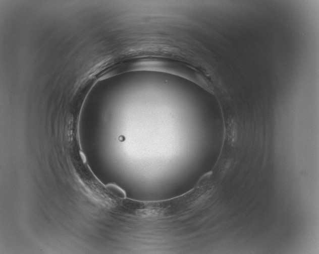 X0000077370356200610201357