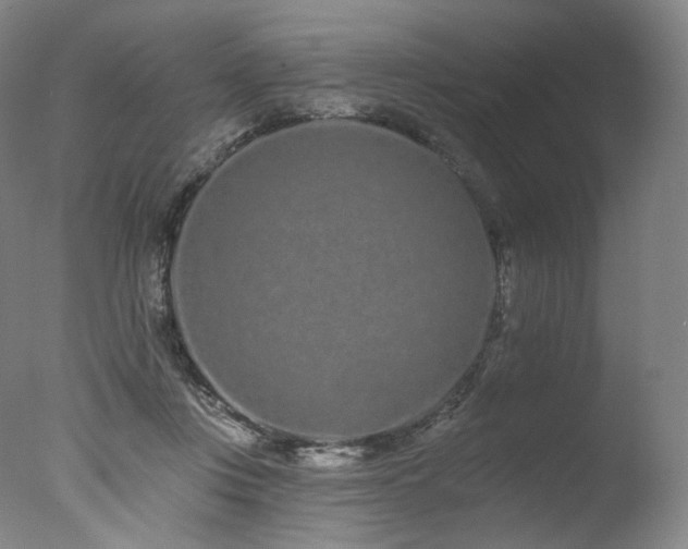 X0000077370359200610201357