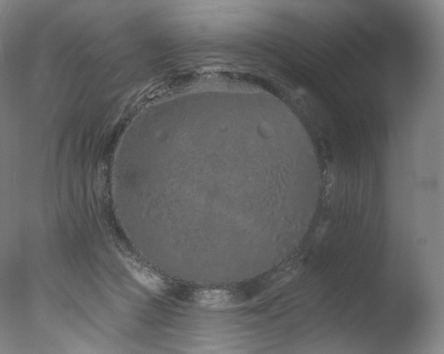 X0000077370361200610201357