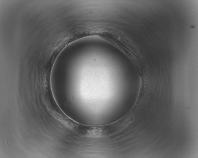 X0000077370362200610201357