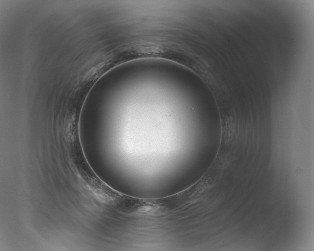 X0000077370364200610201357