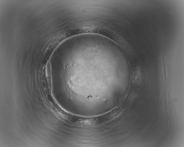 X0000077370365200610201357