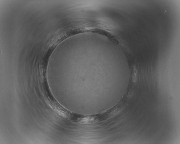 X0000077370366200610201357