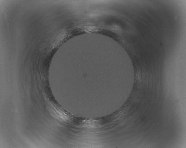 X0000077370367200610201357