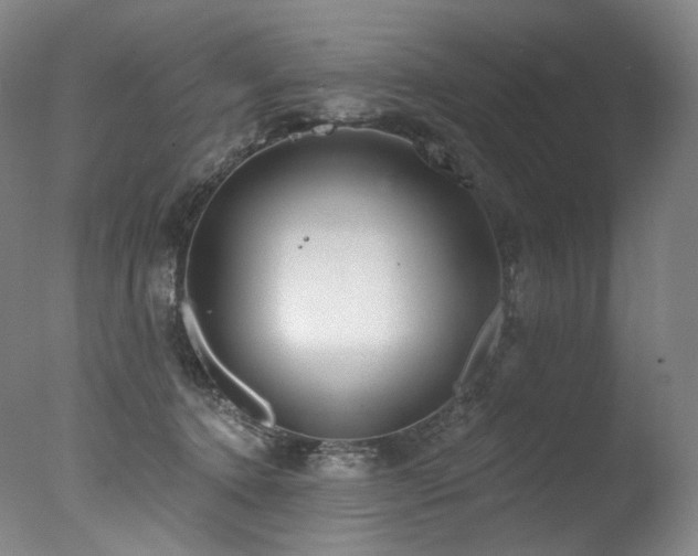 X0000077370368200610201357