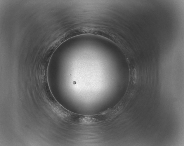 X0000077370372200610201358