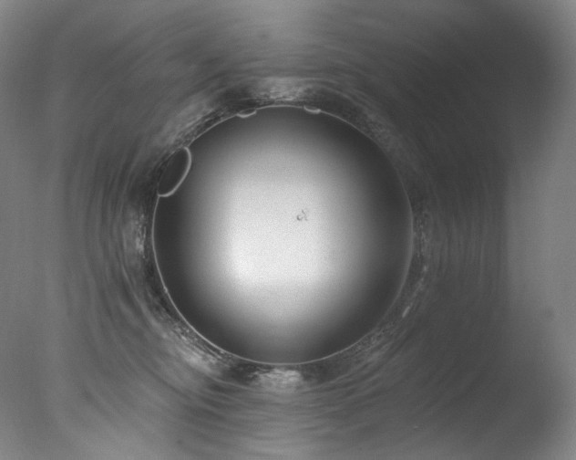 X0000077370374200610201358