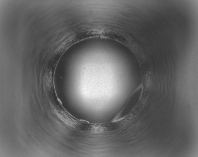 X0000077370376200610201358