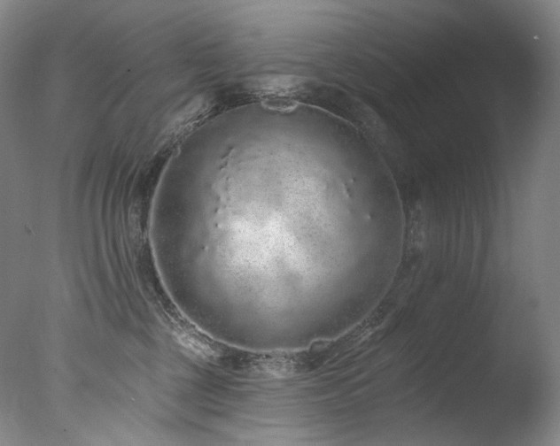 X0000077370377200610201358