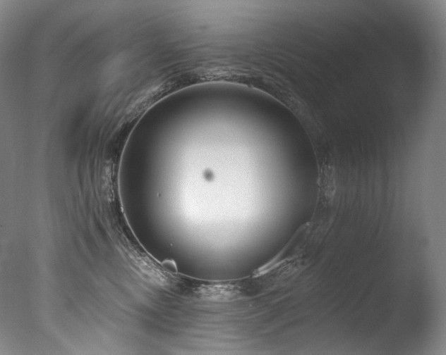 X0000077370378200610201358