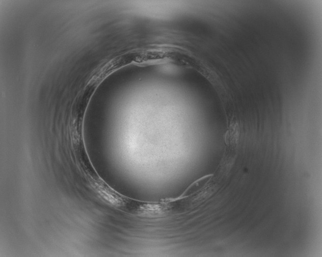 X0000077370381200610201358