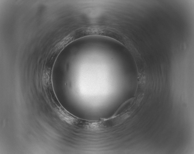 X0000077370382200610201358