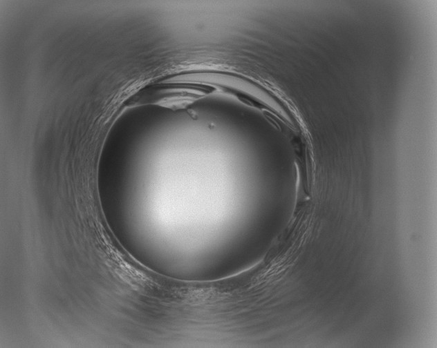 X0000077370385200610201357