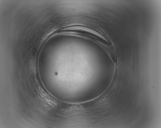 X0000077370386200610201357