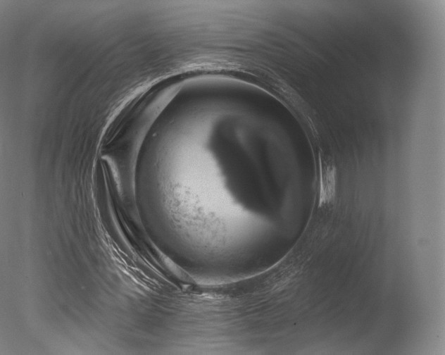 X0000077370387200610201357