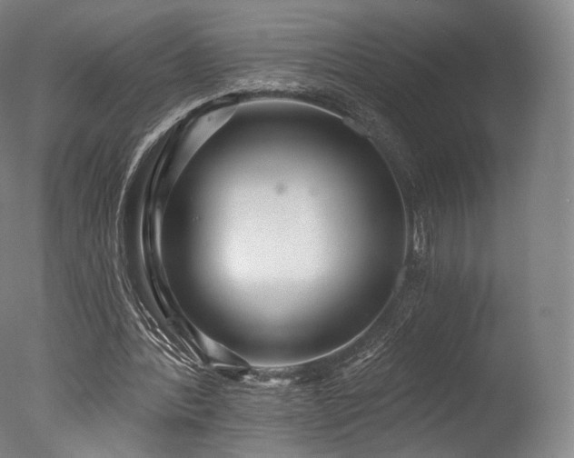 X0000077370388200610201357