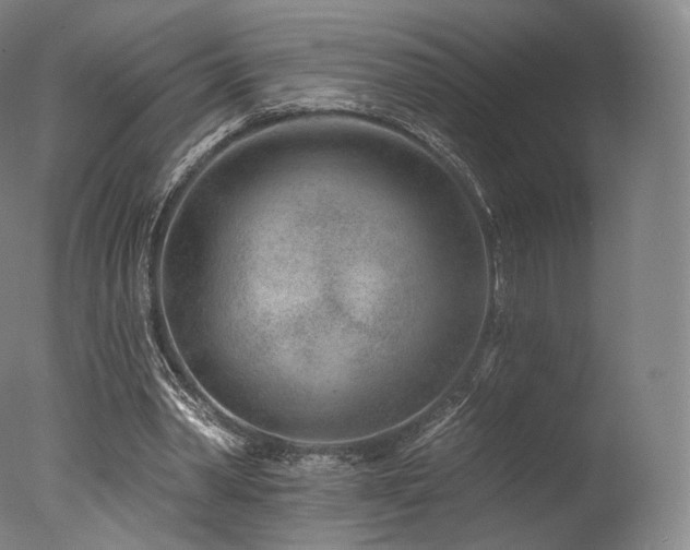 X0000077370390200610201357