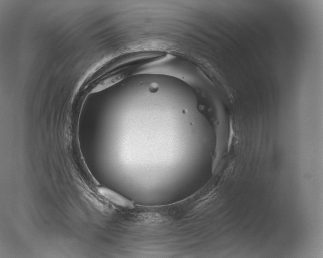 X0000077370392200610201357