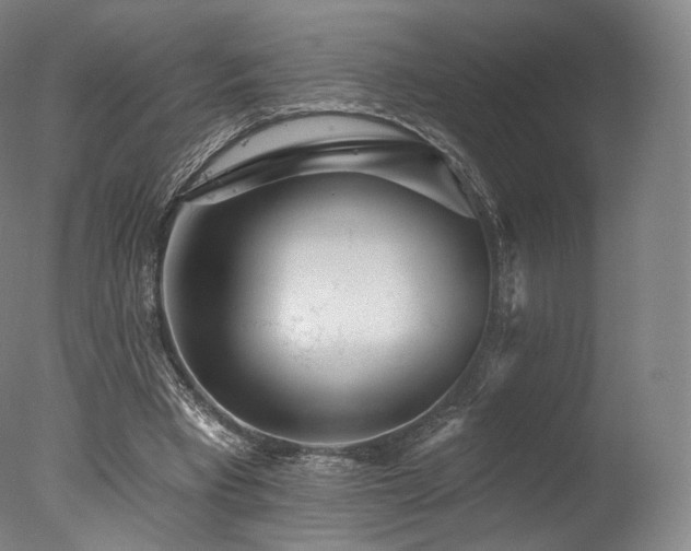 X0000077370393200610201357