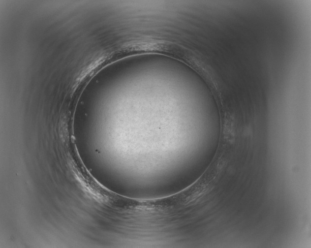 X0000077370394200610201357