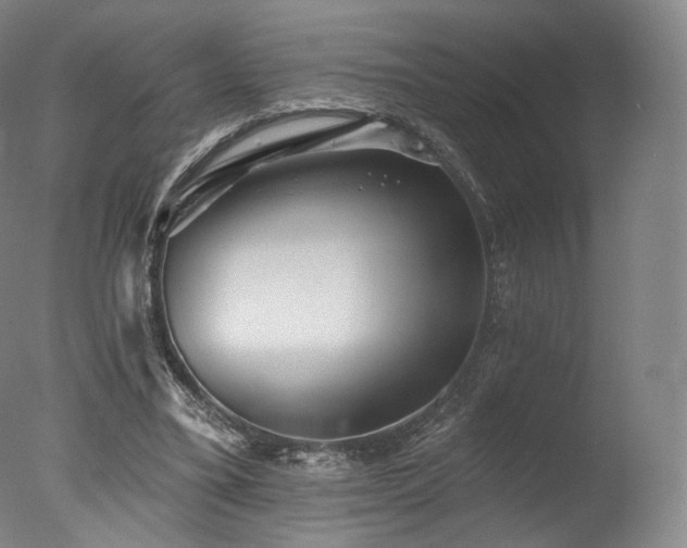 X0000077370395200610201357