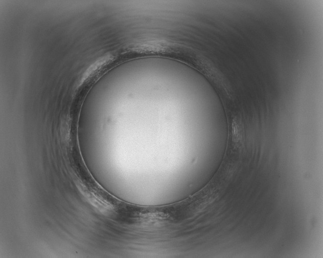 X0000077370396200610201357