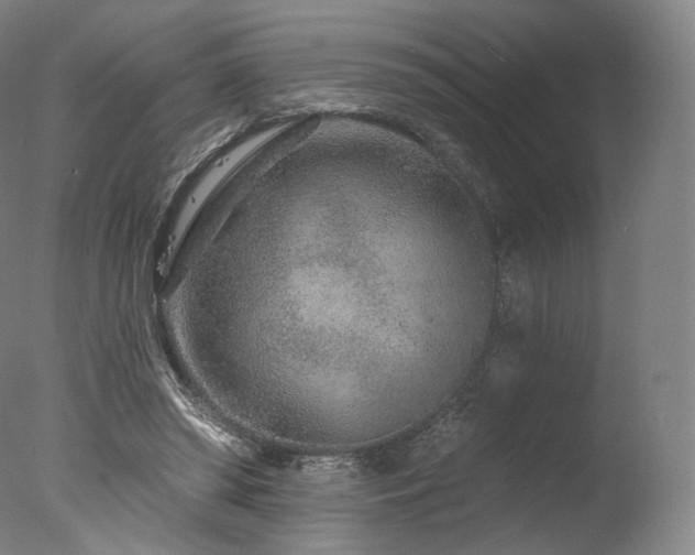 X0000077370398200610201357