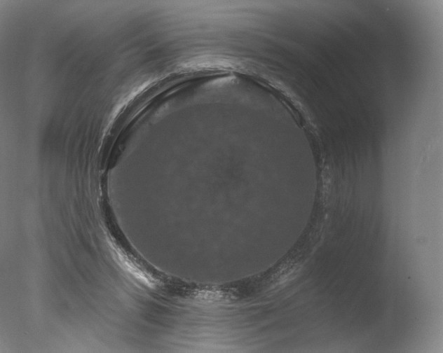 X0000077370399200610201357