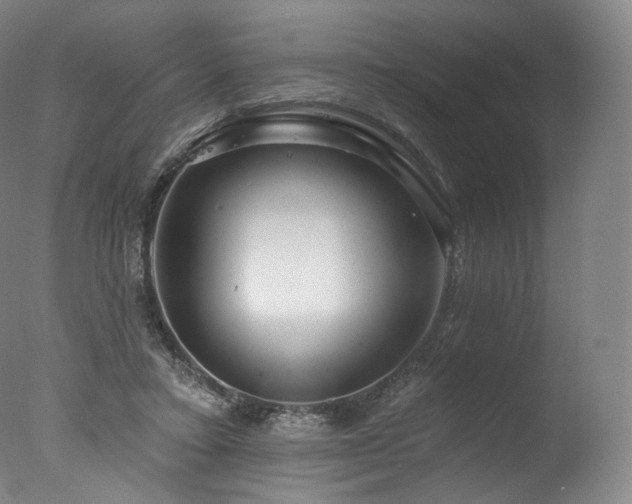 X0000077370403200610201357