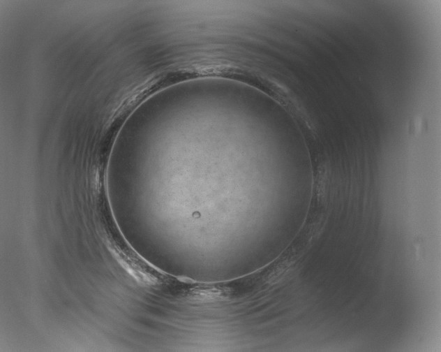 X0000077370405200610201357