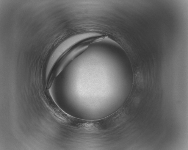 X0000077370406200610201357