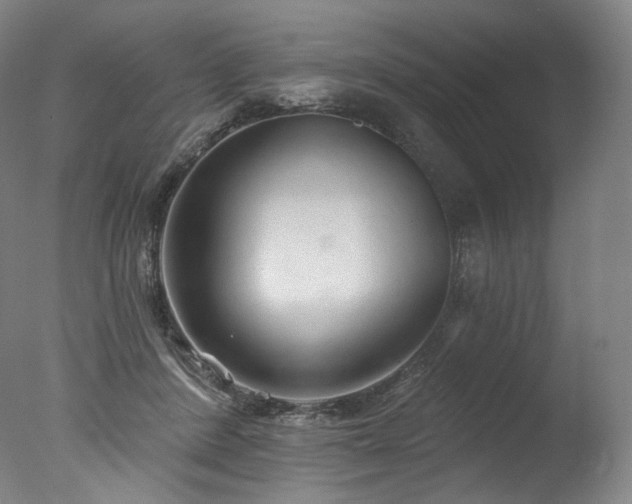 X0000077370408200610201357