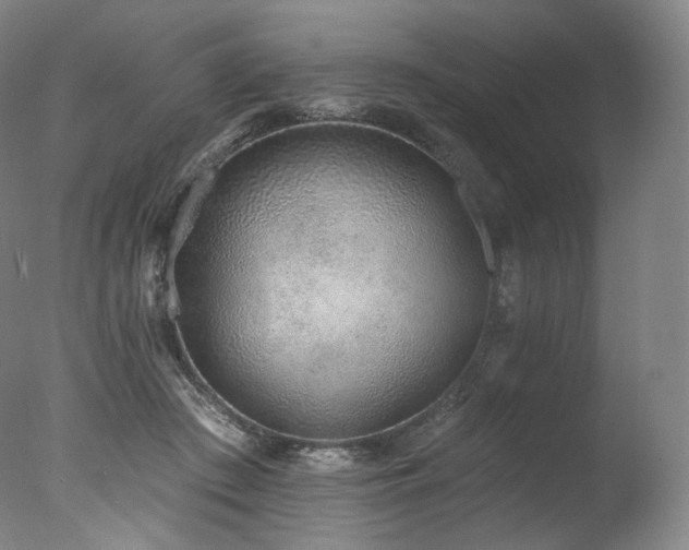 X0000077370409200610201357