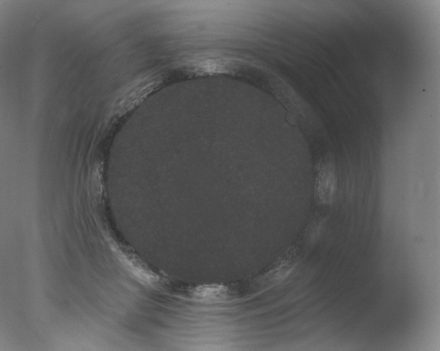 X0000077370410200610201356