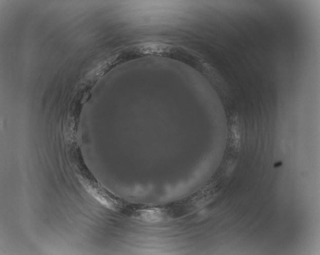 X0000077370411200610201356