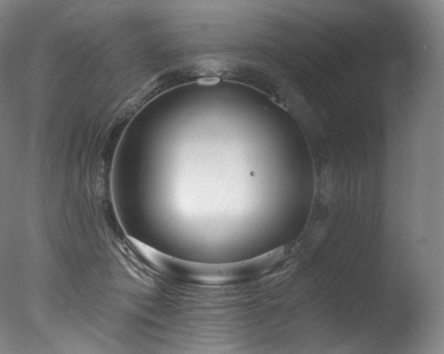 X0000077370413200610201356