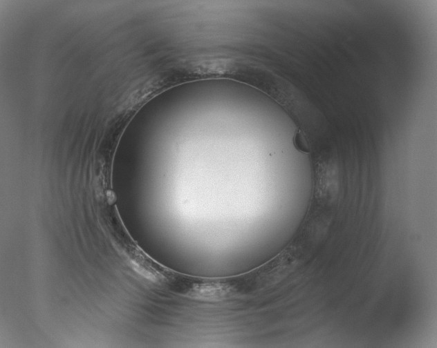 X0000077370414200610201356