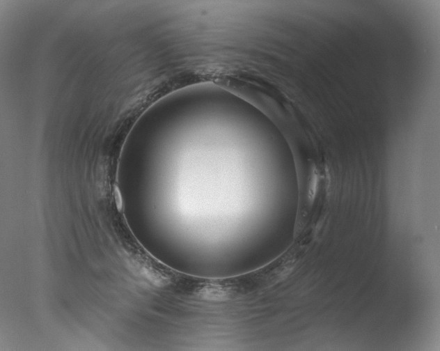 X0000077370416200610201356