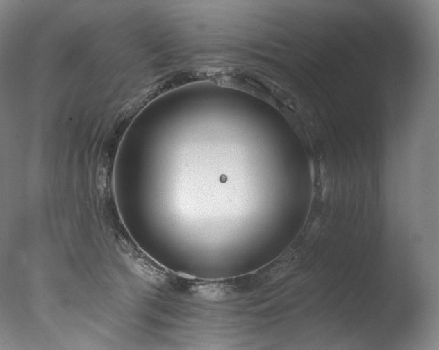 X0000077370417200610201356