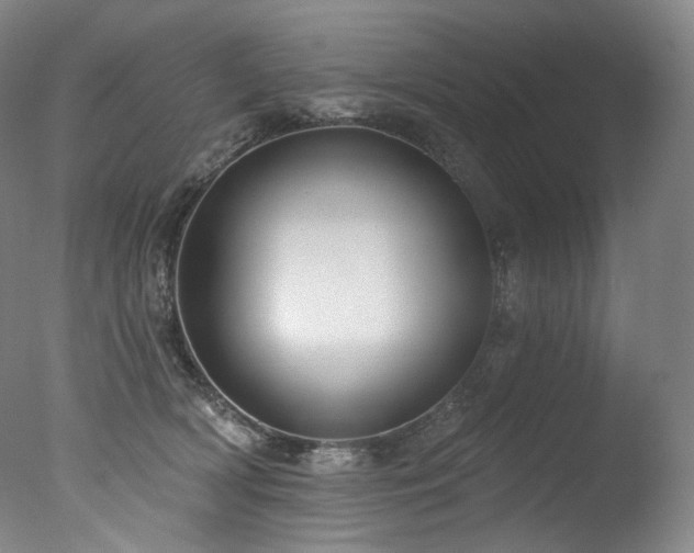 X0000077370418200610201356