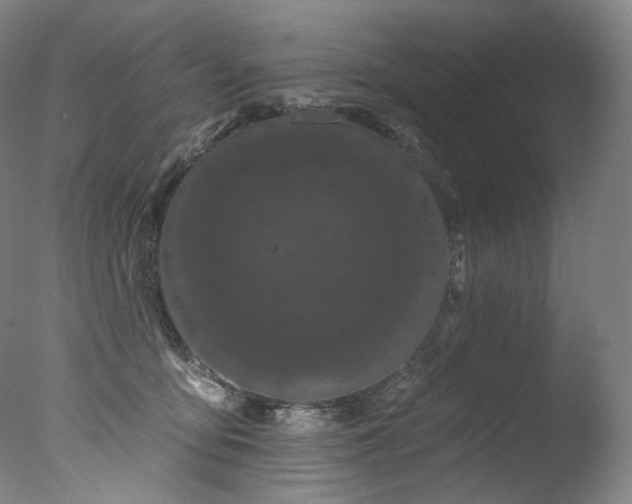 X0000077370419200610201356