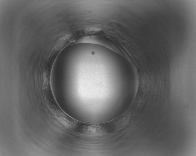 X0000077370420200610201356